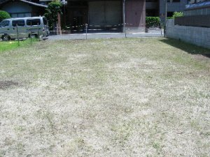 草刈り作業後 草刈り後